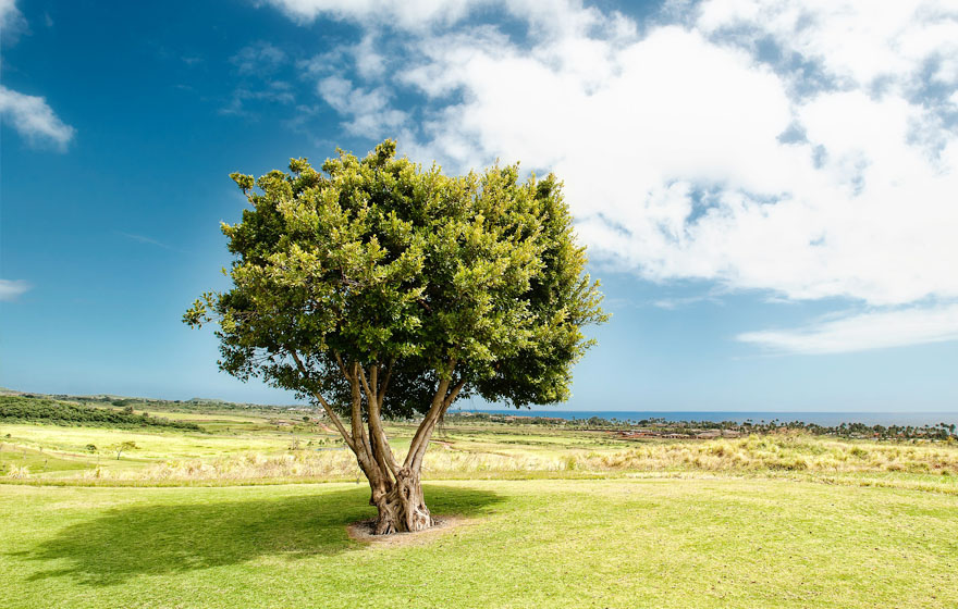 优惠活动办理大厅 - 首页