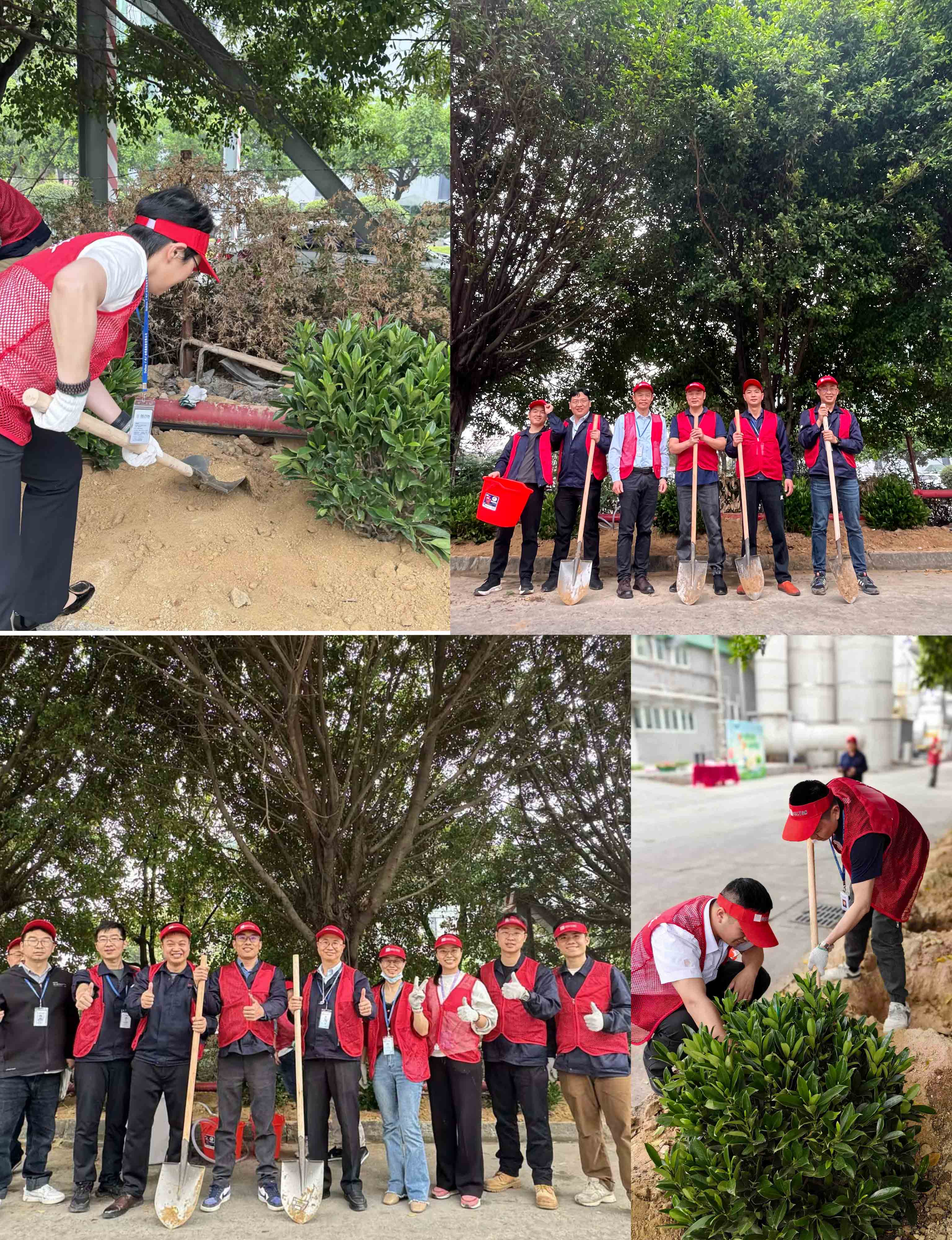 2024年优惠活动办理大厅科技植一抹新绿 寄一份希望植树节