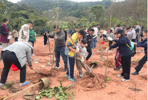 植树造林，，，，，优惠活动办理大厅责任与继续！